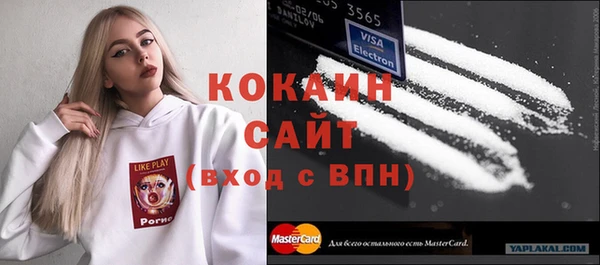 МДПВ Нея