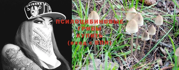 не бодяженный Арсеньев