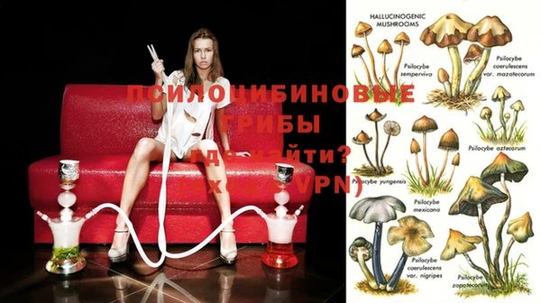 MDMA Premium VHQ Балабаново